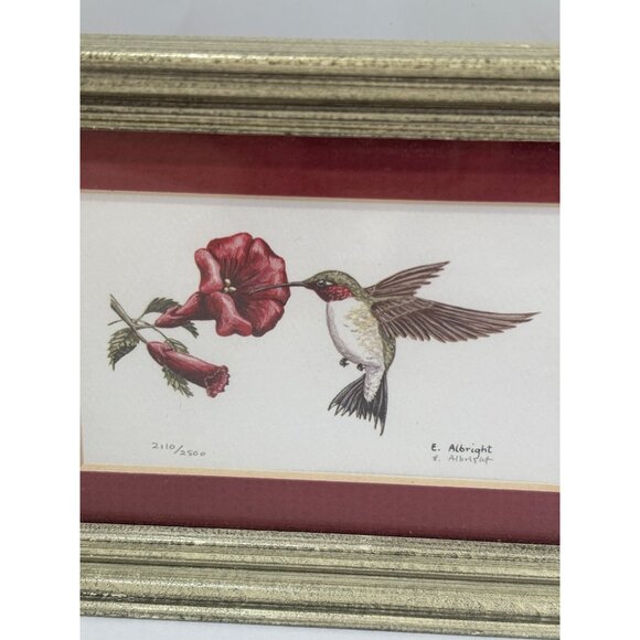 Limited Edition Hummingbird & Flower Print By E. Albright Framed Artwork 2110/25 - Picture 4 of 7